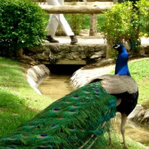 حديقة طيور اصفهان